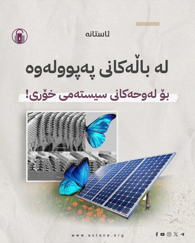لە باڵەکانی پەپوولەوە بۆ لەوحەکانی سیستەمی خۆری