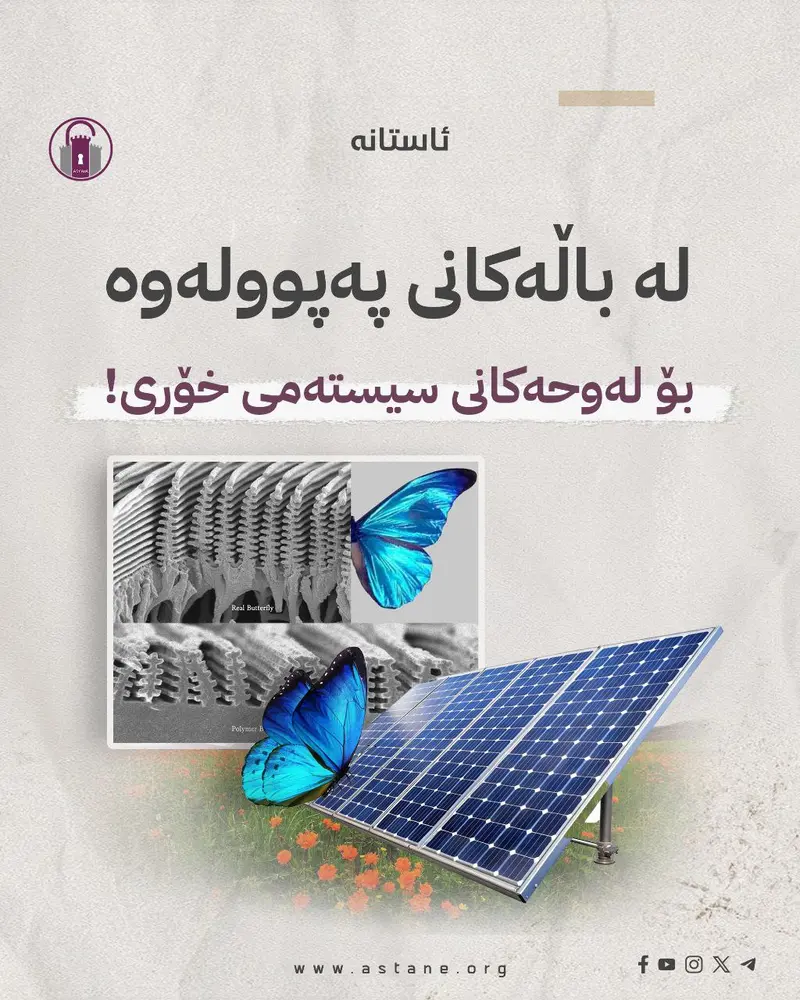 لە باڵەکانی پەپوولەوە بۆ لەوحەکانی سیستەمی خۆری