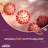 ئەوەی پێویستە لەسەر کۆڕۆنا بیخوێنینەوە .