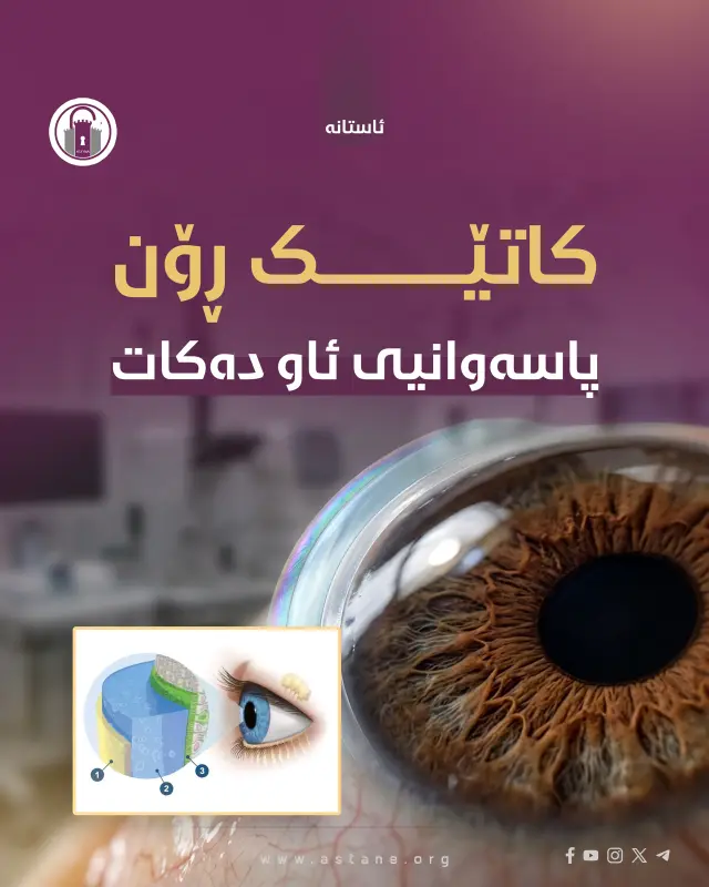 کاتێک ڕۆن پاسەوانیی ئاو دەکات: نهێنییەکی شاراوە لەسەر ڕووی چاو!