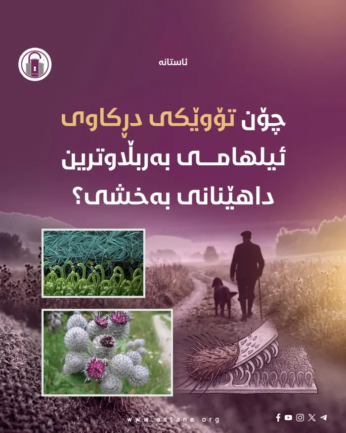 چۆن تۆوێکی دڕکاوی ئیلهامی بەربڵاوترین داهێنانی بەخشی؟