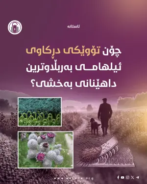 چۆن تۆوێکی دڕکاوی ئیلهامی بەربڵاوترین داهێنانی بەخشی؟