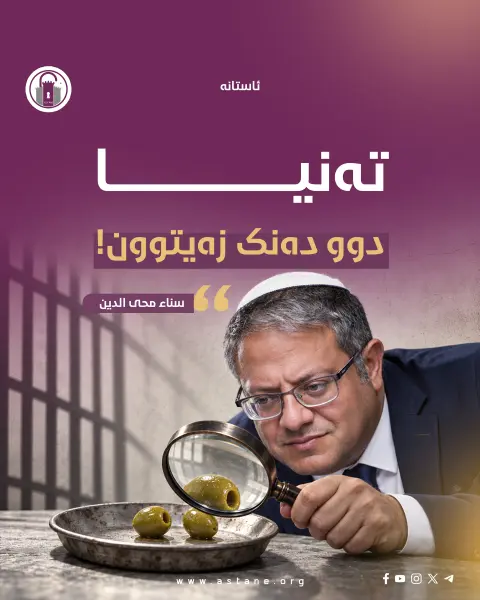 تەنیا دوو دەنک زەیتوون! 