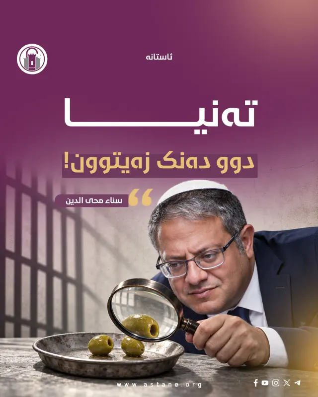 تەنیا دوو دەنک زەیتوون! 
