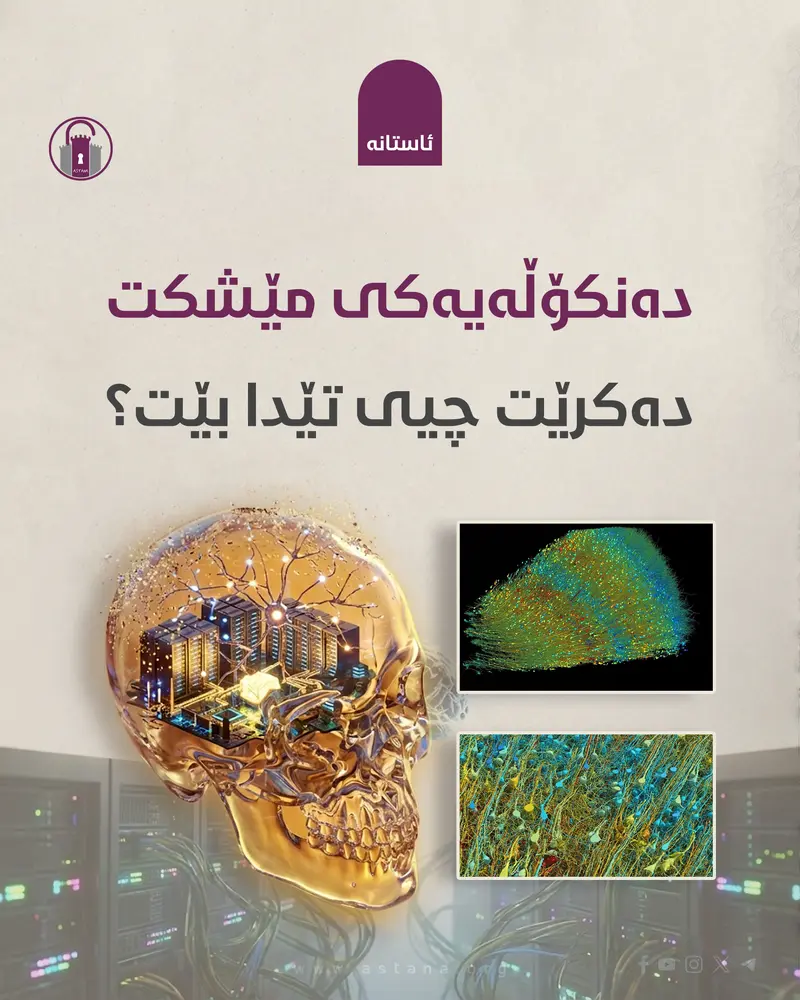 دەنکۆڵەیەکی مێشکت دەکرێت چیی تێدا بێت؟