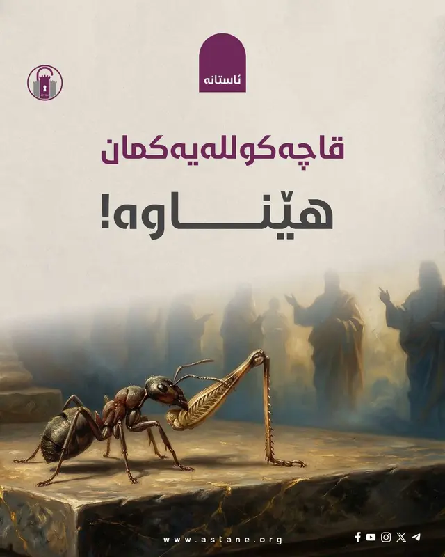 قاچەکوللەیەکمان هێناوە!