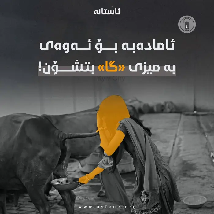 ئامادەبە بۆ ئەوەی بە میزی «گا» بتشۆن!