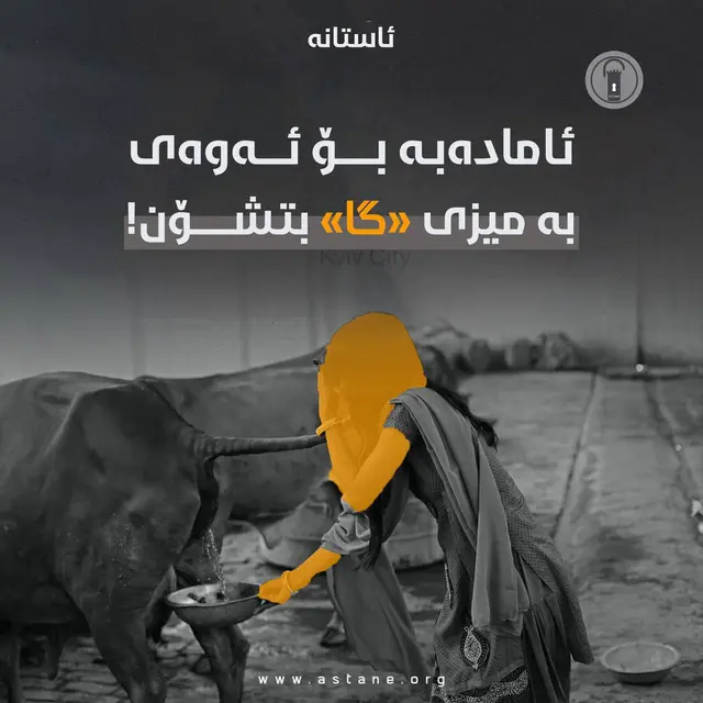 ئامادەبە بۆ ئەوەی بە میزی «گا» بتشۆن!
