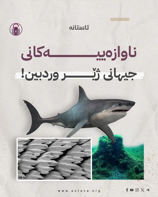 ناوازەییەکانی جیهانی ژێر وردبین