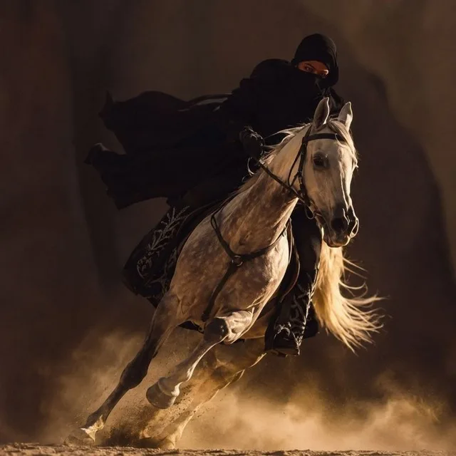 سناء محي الدين فتاح